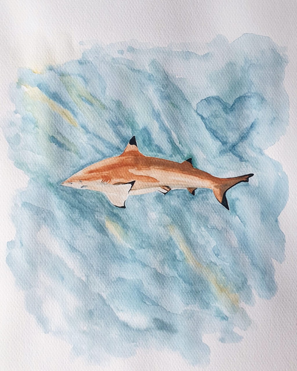 Black Tip Drawing By Rubina Doodle Addicts