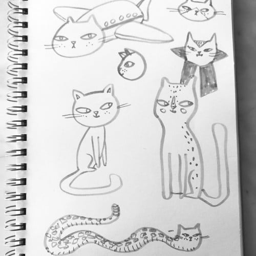 Doodle cats featuring Cat Airbus.