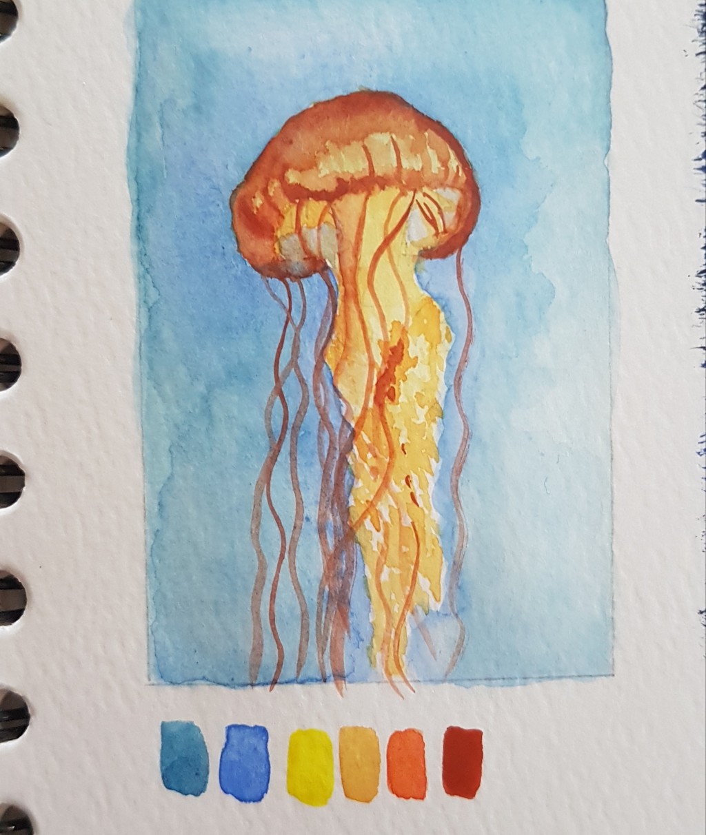 Jellyfish Ii Drawing By Minca Doodle Addicts