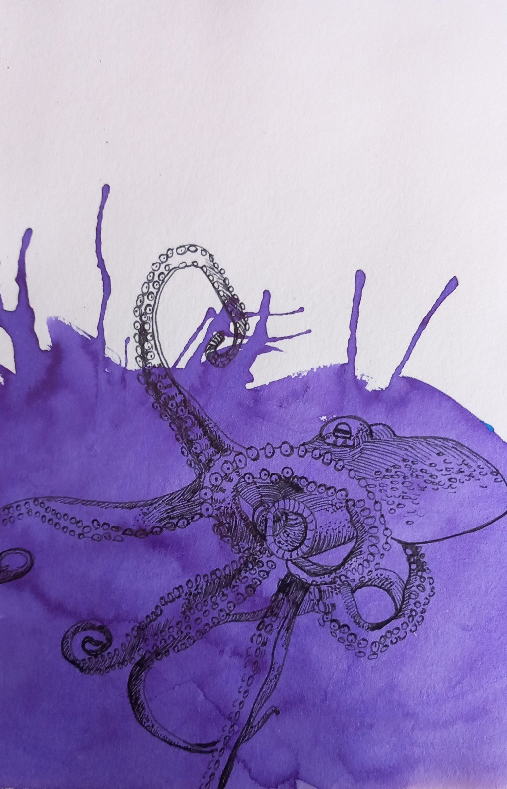 Octopus Drawing By Minca Doodle Addicts