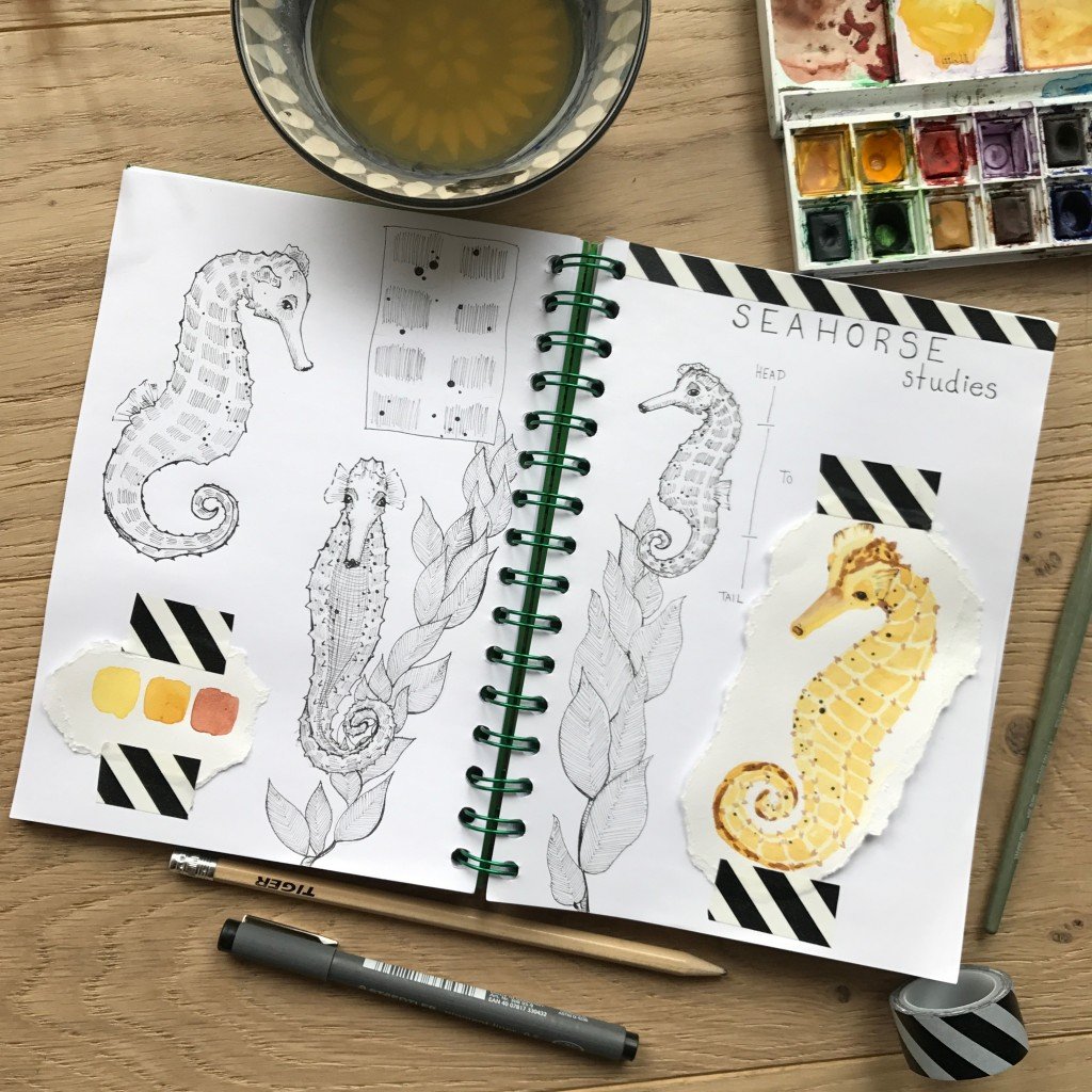 Seahorse Study Drawing By Anna Thomsen 