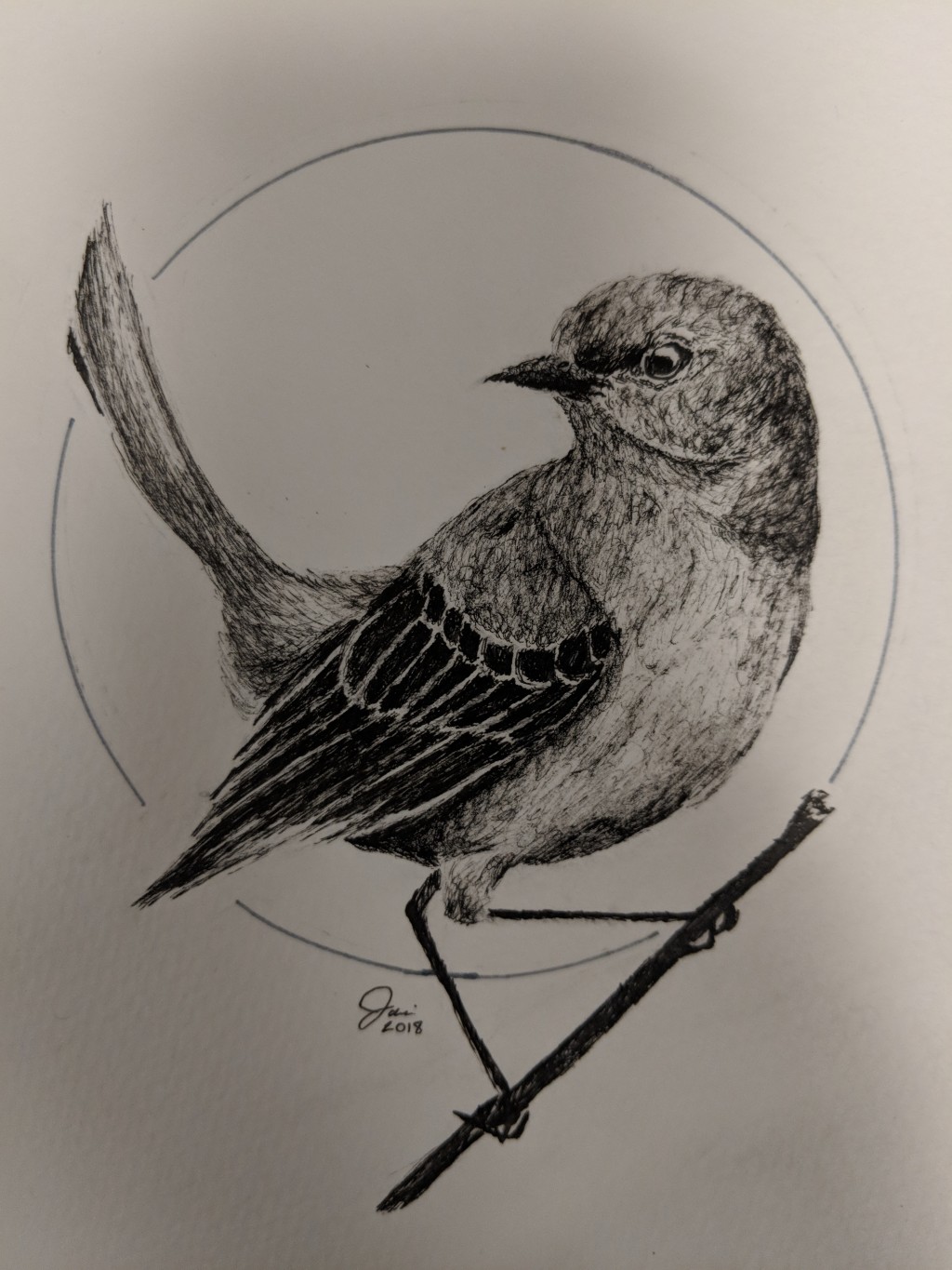 How To Draw Mockingbird - Calendarinternal21