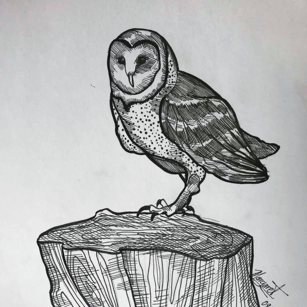 Owl Doodle drawing by Margaret | Doodle Addicts