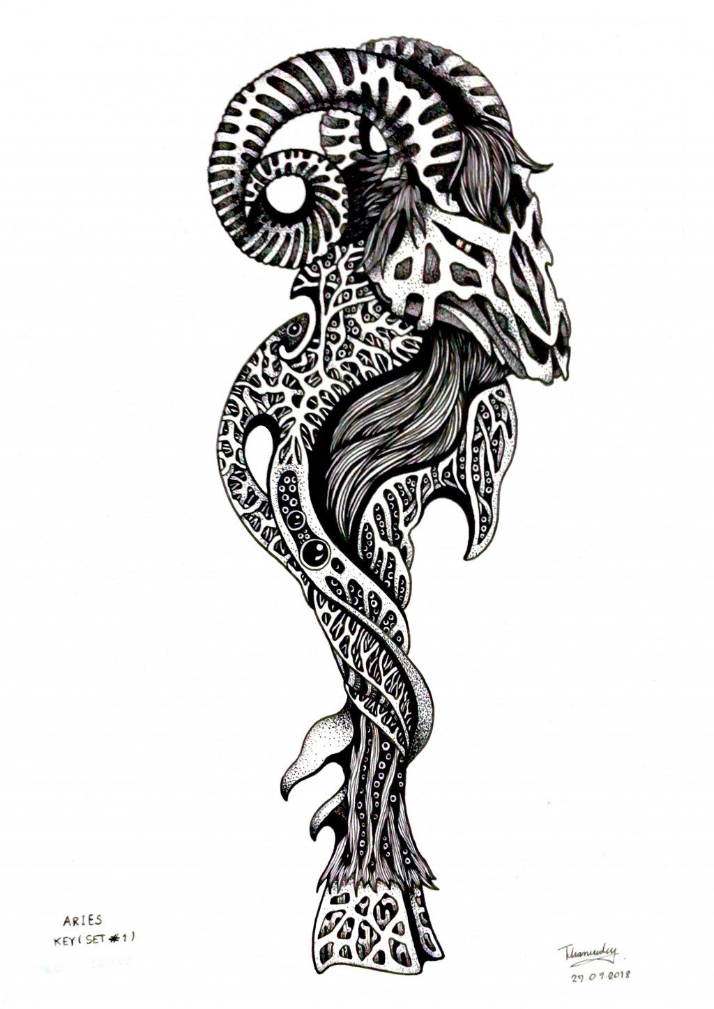 Aries Zodiac Sign Ram Head Ink Black White Drawing Stock Illustration by  ©alexblacksea #226637342