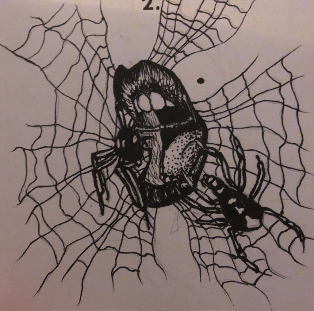 2.Spiders drawing by Lynn | Doodle Addicts