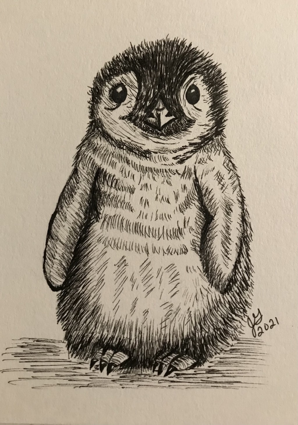 Inktober Penguin Chick drawing by Jean Garro | Doodle Addicts