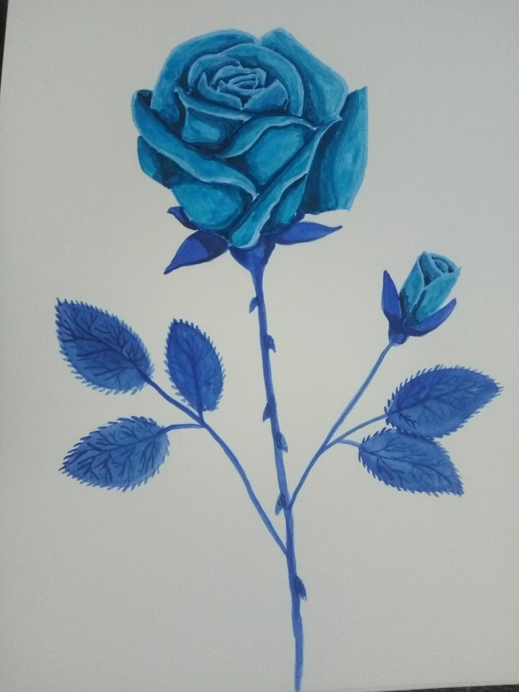 Blue Roses Drawing By Rebecca Kaylin Jones 