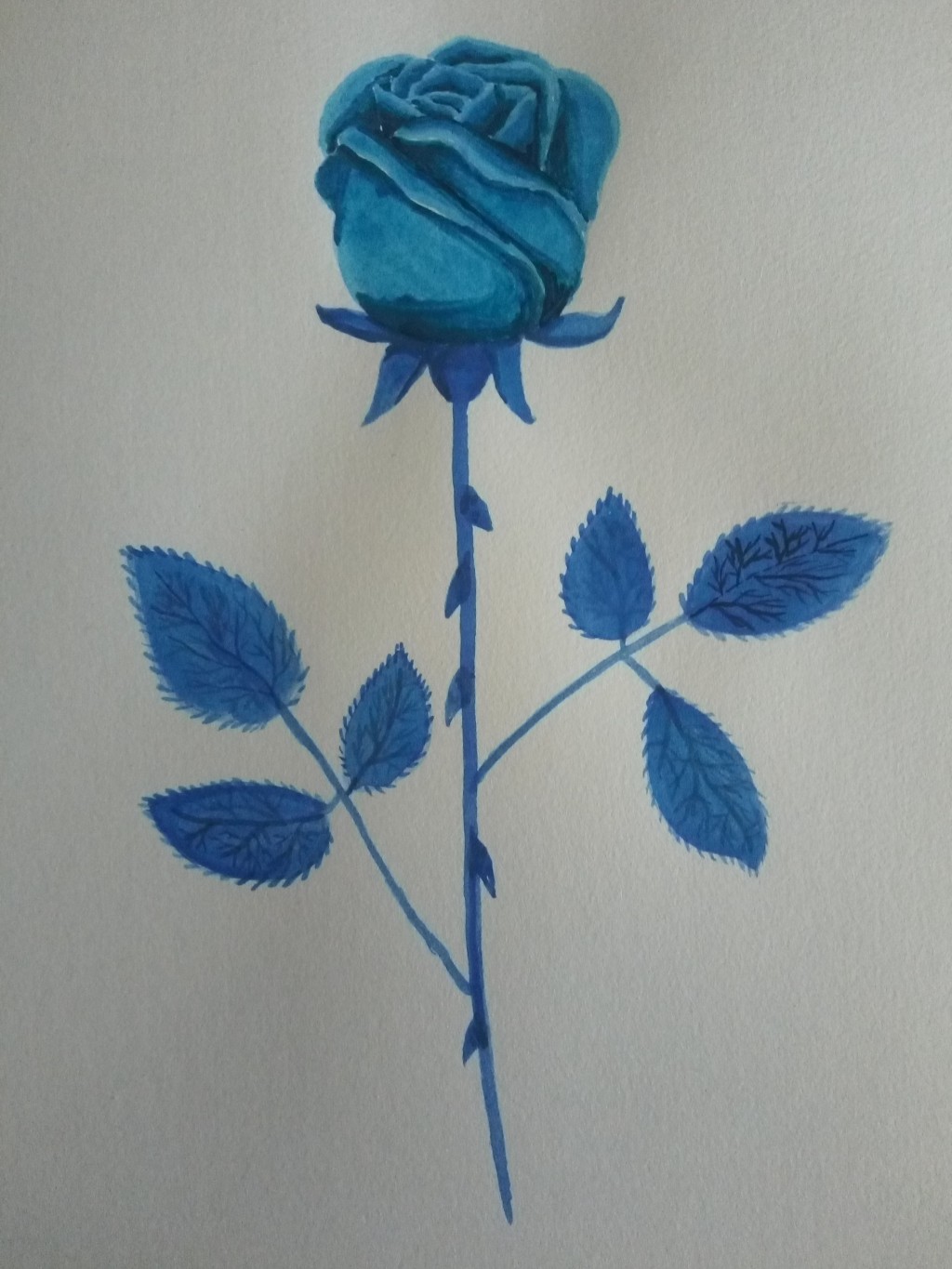 Blue Rose with Thorns drawing by Rebecca Kaylin Jones | Doodle Addicts