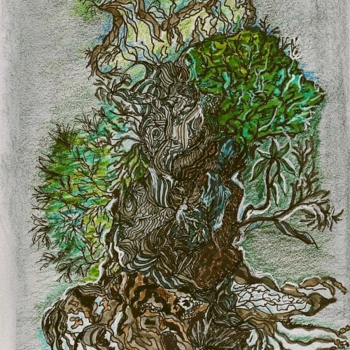 Tree of Life as I see it