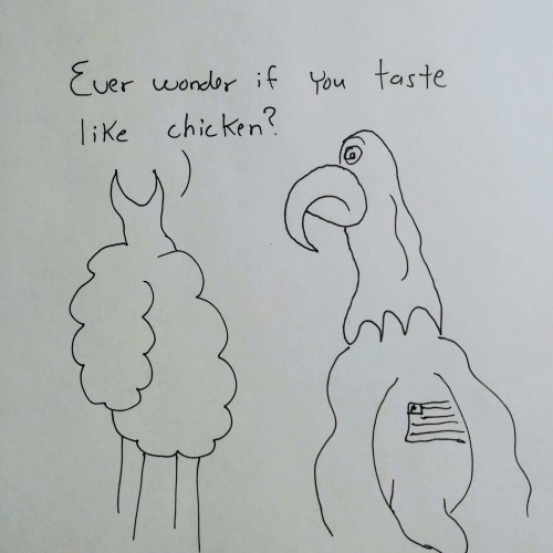 Eagle chicken