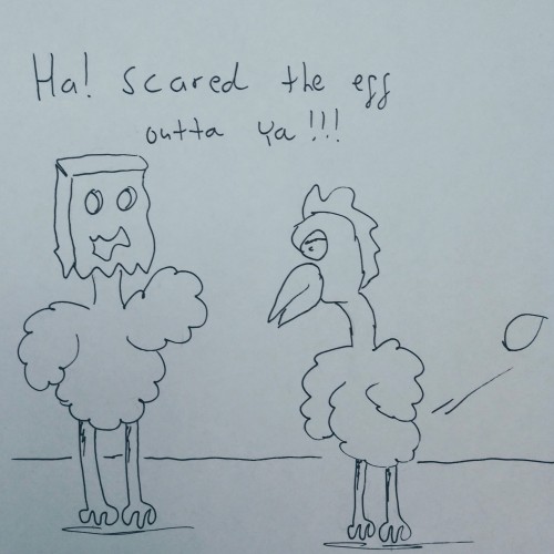 Chicken scare