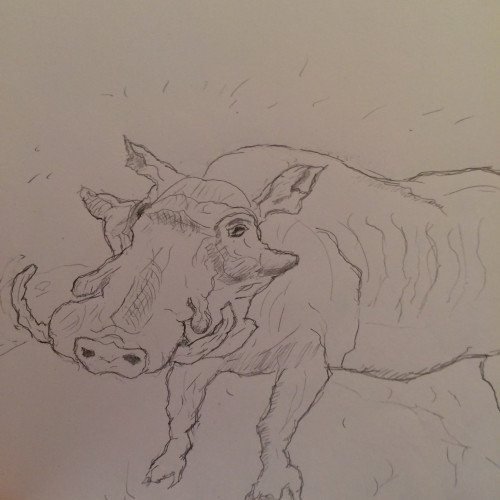 Warthog