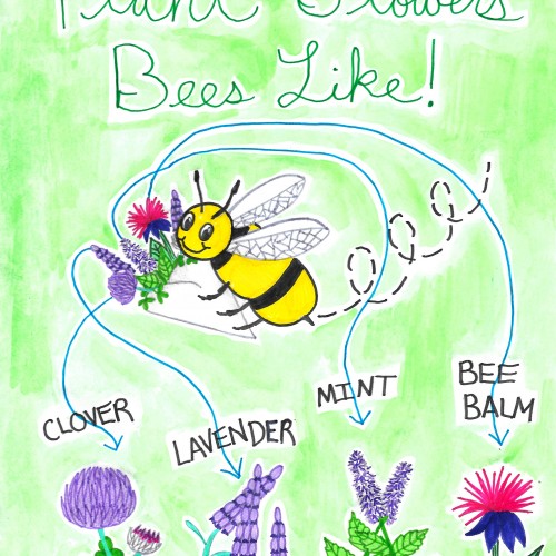 Plant Flowers Bees Like!