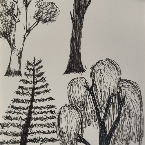 Trees