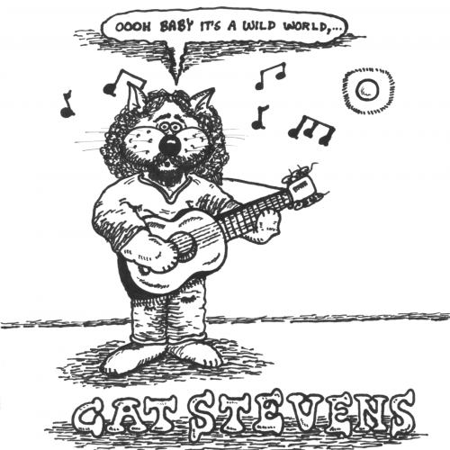 CAT STEVENS