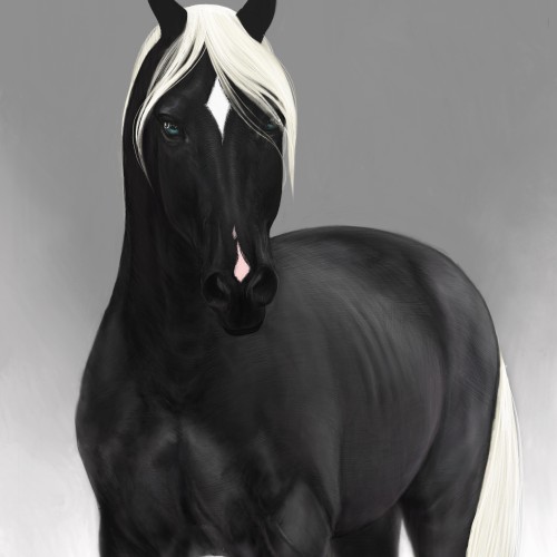 Black Horse