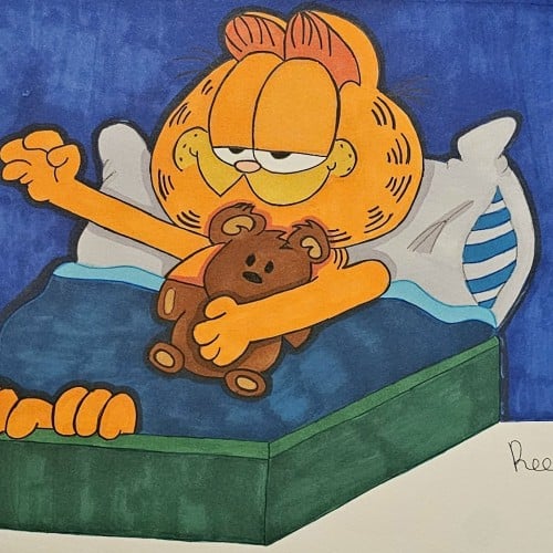 Garfield & Pooky