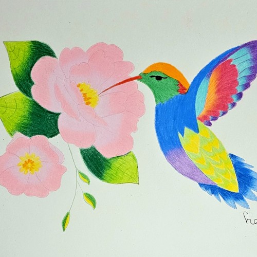 Colorful Hummingbird