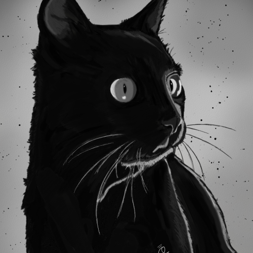 Black Cat Illustration by Oz Galeano