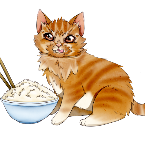 Rice Cat