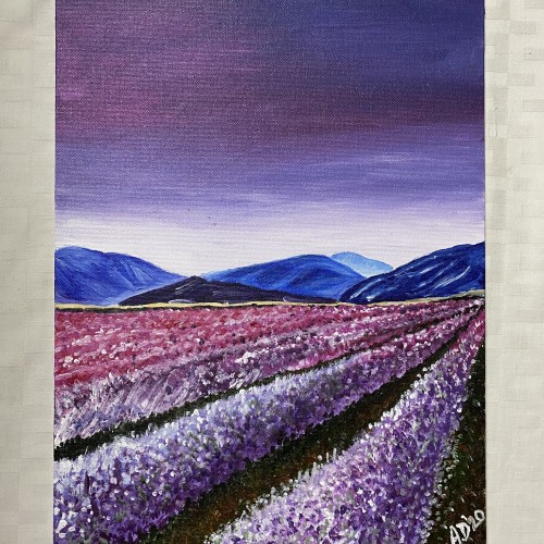 Lavender Fields