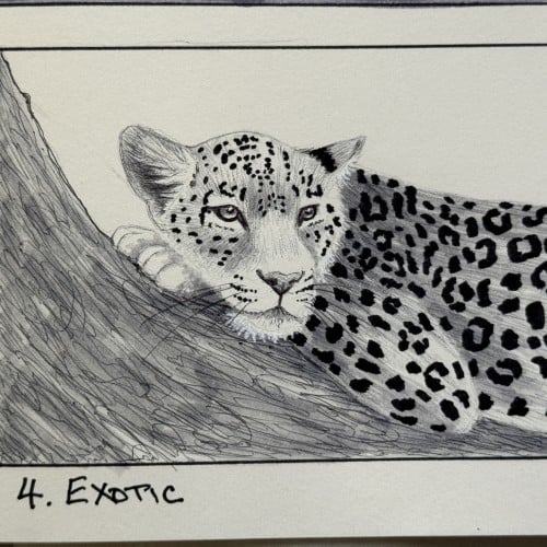 Inktober 2024 Day 4 Exotic