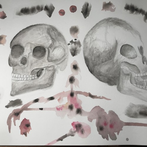 Skulls