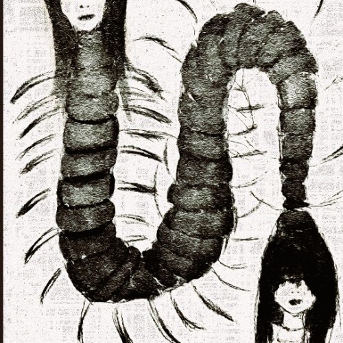 Centipede