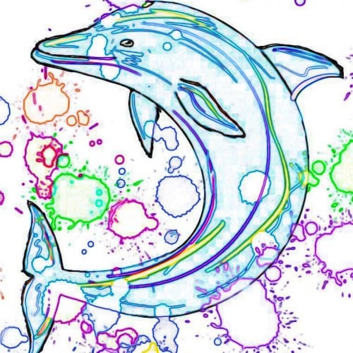 Dolphin