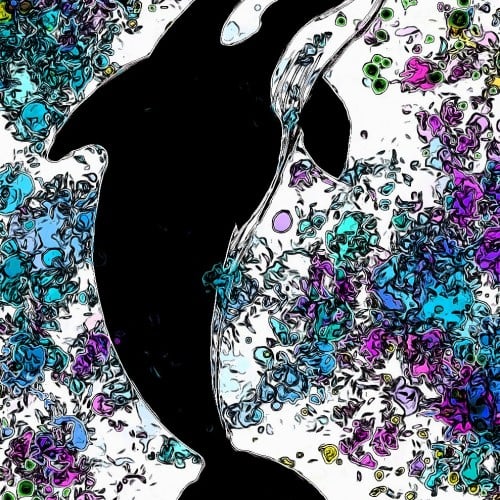 Orca