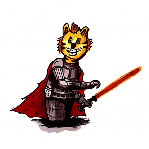 Little Tiger the Jedi