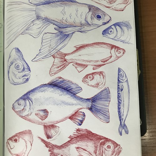 little fishes