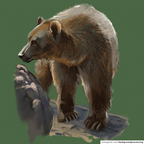 Just a bear sketch