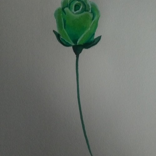 Green Rose