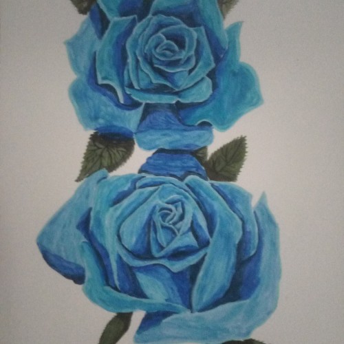 Two Blue Roses