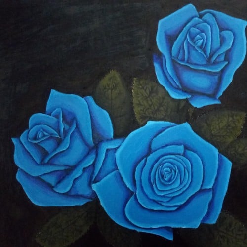 Blue Roses