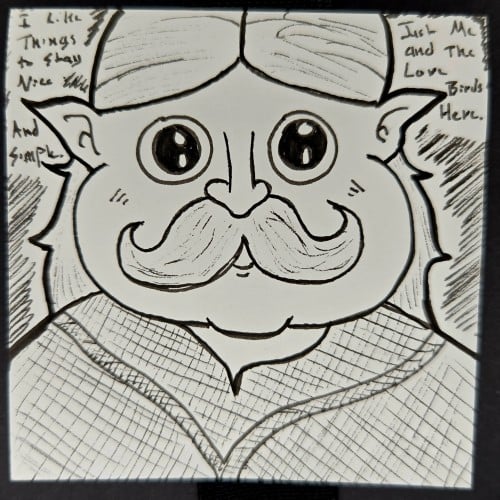 Bird Lover (A Link Between Worlds)