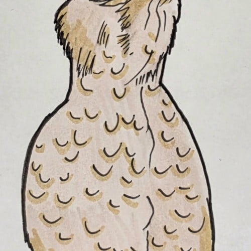 Scribbles: Chickens