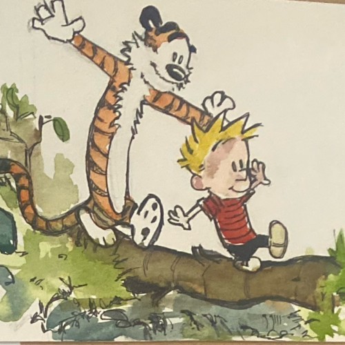 Calvin and Hobbes Replication