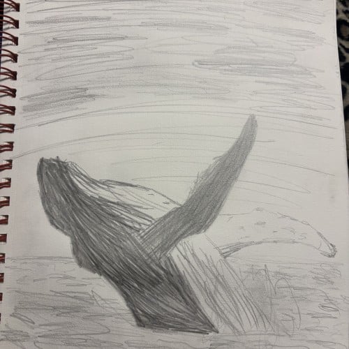 Whale