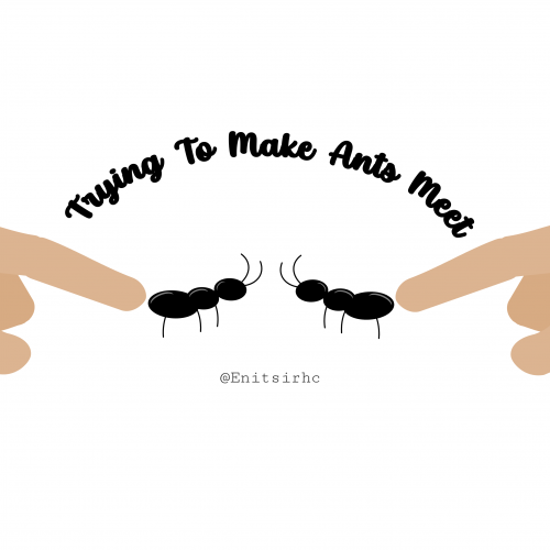 Making Ants Meet