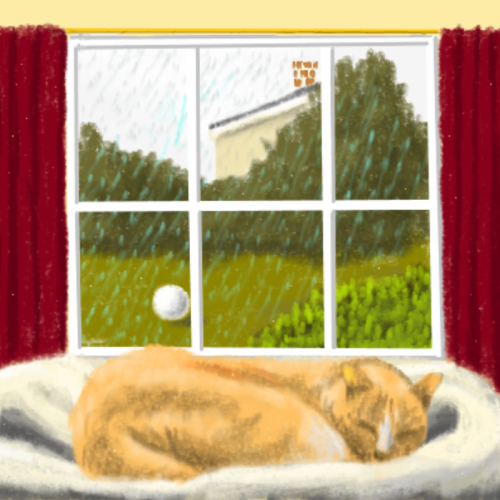 Rainy Day Cat