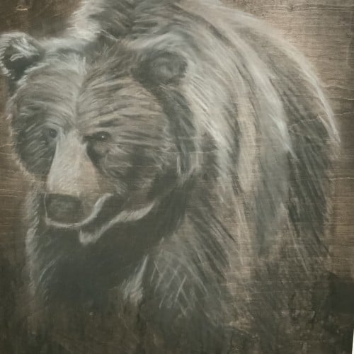Stained Bear