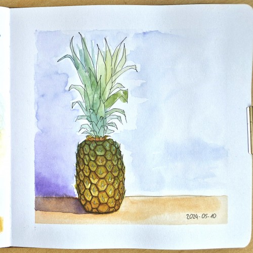 Pineapple in watercolor