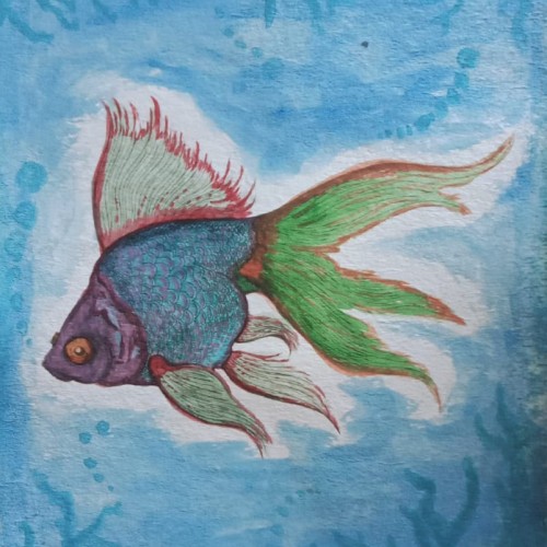 Ocean fish