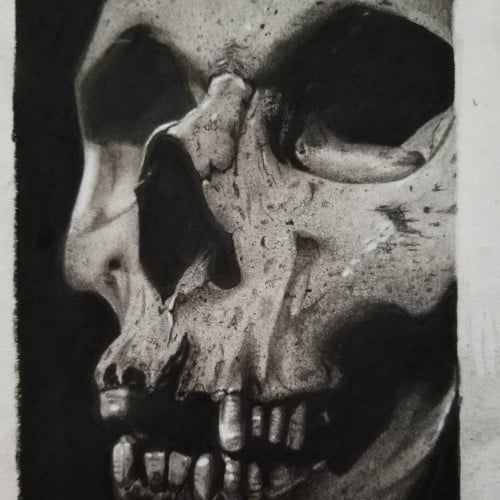 Charcoal skull