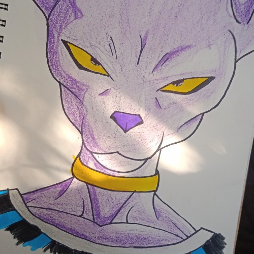 Lord beerus