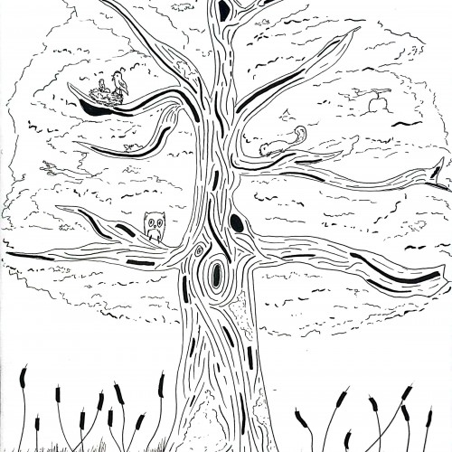 Tree of Life