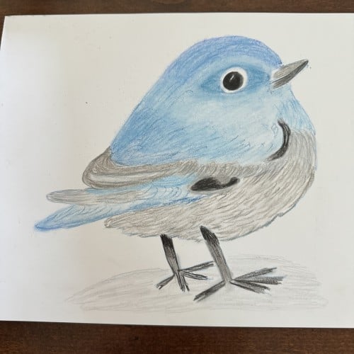 Chubby Blue Bird