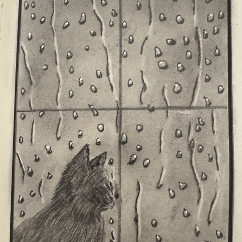 Cat at the Window on a Stormy Day